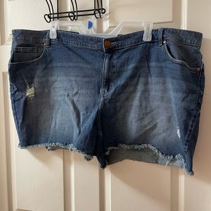 Lane Bryant size 26 shorts